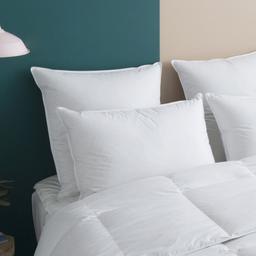 Oreiller MEDIUM 70% Duvet Coton Ernest - Wake Me Green