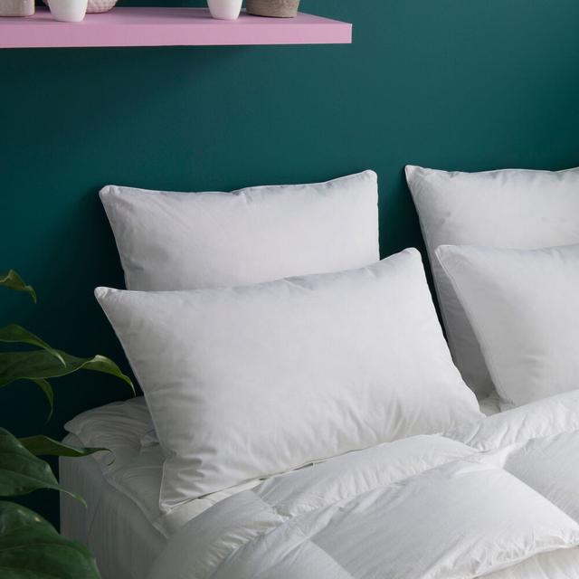 Oreiller MEDIUM 30% Duvet Anti-acariens Coton Bio Edgard