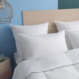 Oreiller MEDIUM 70% Duvet 3 compartiments Coton Auguste