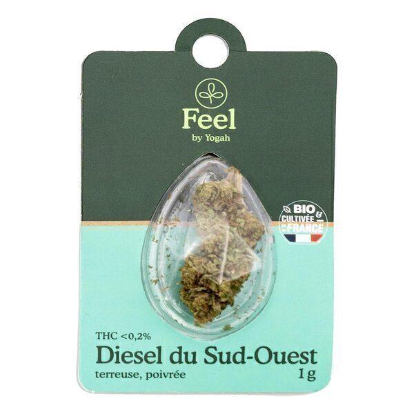 Fleur de CBD Diesel du Sud-Ouest 1g