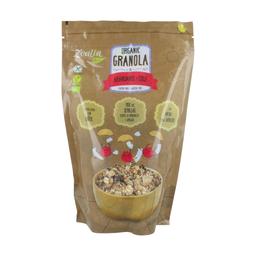 Granola biologique aux bleuets et noix de coco sans gluten 300 g