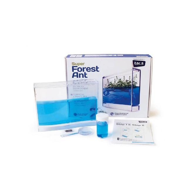 Kit super fourmilière forest avec base lumineuse LED