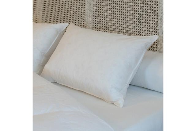 Oreiller luxe 90% duvet blanc neuf 50x70