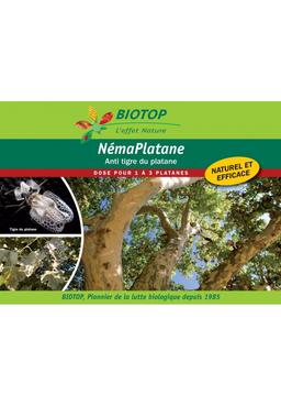 Nématodes utiles spécial platanes némaplatane