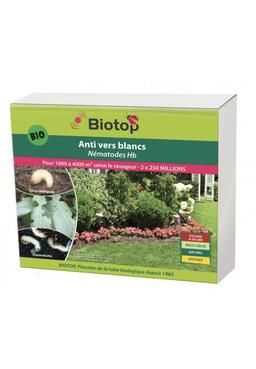 Nématodes utiles HB anti vers blancs (500M)