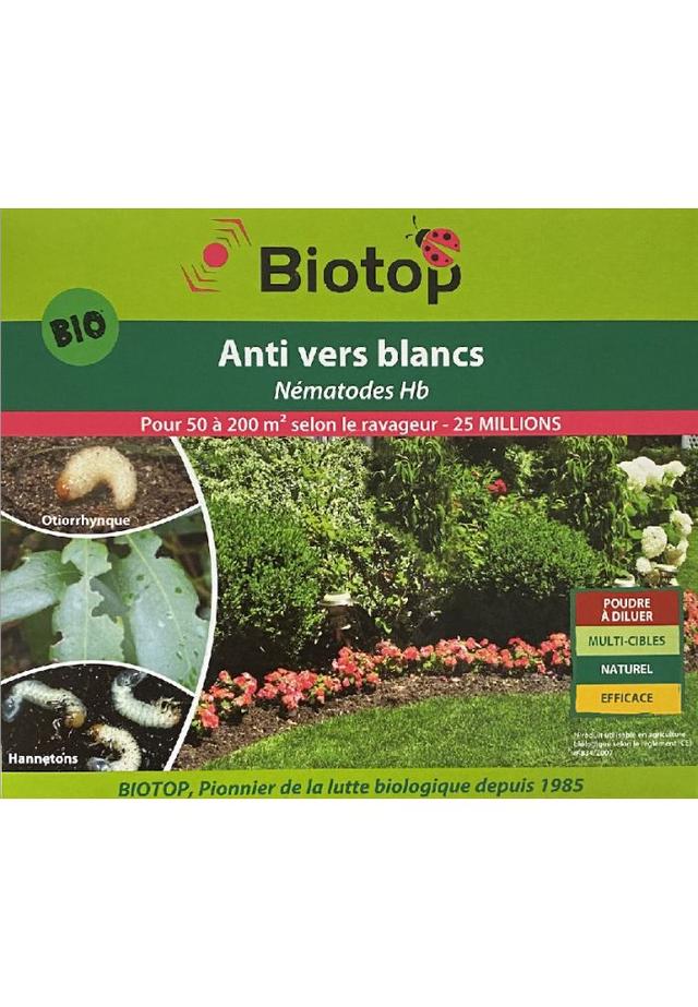 Nématodes utiles  HB anti vers blancs (25M)