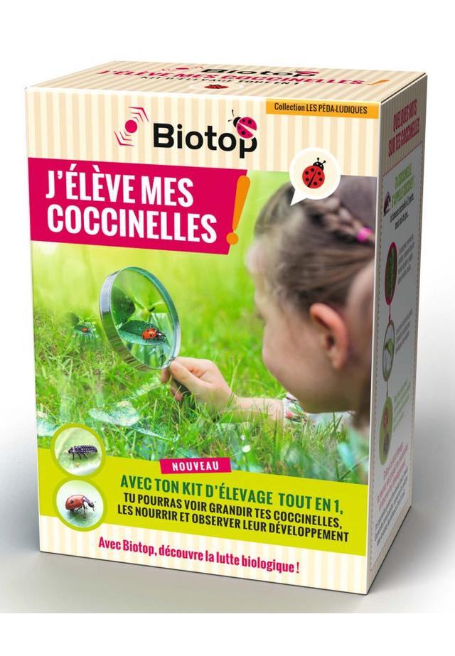 Kit d'élevage de coccinelles