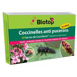 50 larves coccinelles anti-pucerons - Coccilaure