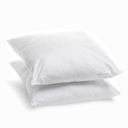 Lot de 2 Oreillers Moelleux Coton BIO 60x60cm