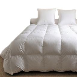 Couette King Size Couple duvet oie 300x250