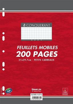 Etui de 100 Feuillets mobiles (200 Pages) A4 5x5 90g Blanc