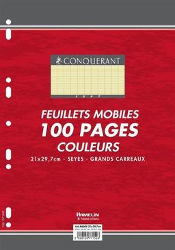 Feuillets mobiles A4 100 pages grands carreaux jaunes 80g