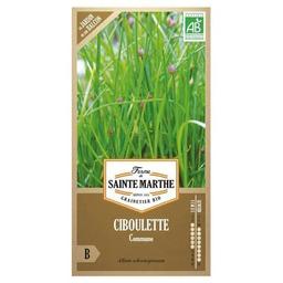 Graines à semer - Ciboulette bio