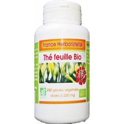 200 gélules THE VERT BIO AB dosées à 250 mg.