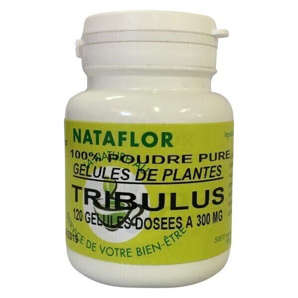 GELULES TRIBULUS 120 gélules dosées à 300mg.