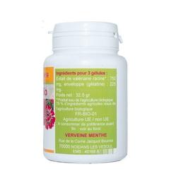 GELULES VALERIANE BIO racine 100 gélules dosées à 250 mg poudre