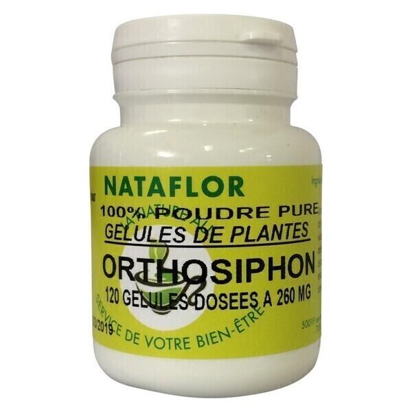 GELULES ORTHOSIPHON  feuille 120 gélules dosées à 260 mg