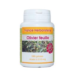 GELULES OLIVIER feuille 100 gélules dosées à 210 mg