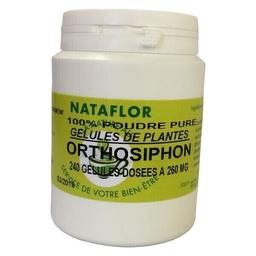 GELULES ORTHOSIPHON  feuille 240 gélules dosées à 260 mg