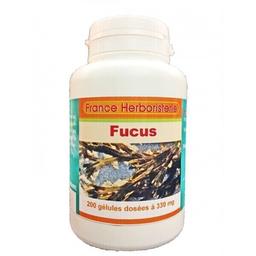 GELULES FUCUS vésiculeux 200 gélules doséés à 330 mg poudre pure