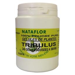 GELULES TRIBULUS 240 gélules dosées à 300mg.