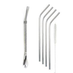 Paille avec filtre intégré + 4 pailles standard en inox