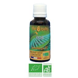 Vigne Bio - Le Macérât des articulations - 30ml