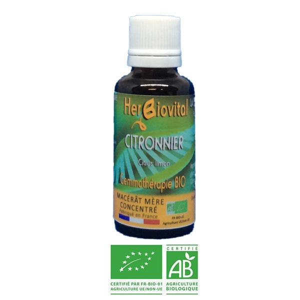 Citronnier Bio - Le Macérât purificateur - 30ml