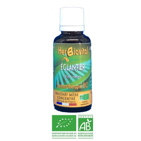 Eglantier Bio - Le Macérât des défenses naturelles - 30ml