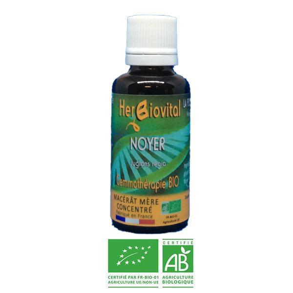 Noyer Bio - Le Macérât du bien-être intestinal - 30ml