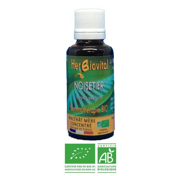 Noisetier Bio - Le Macérât du système nerveux - 30ml