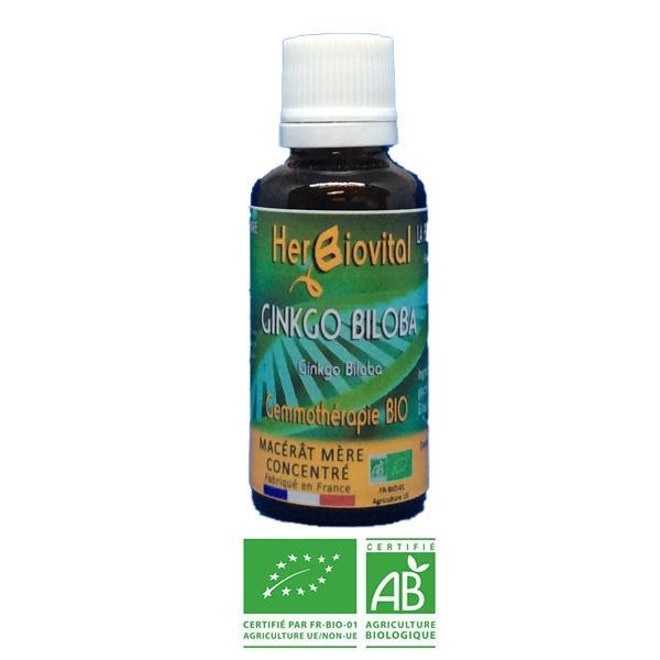 Ginkgo Biloba Bio - Le Macérât des fonctions cognitives - 30ml