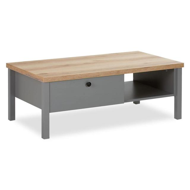 Table Basse de Bois 110x60 cm grise