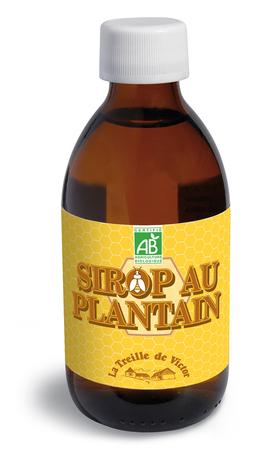 Sirop Plantain BIO - Gorge - Bouteille de 250 ml