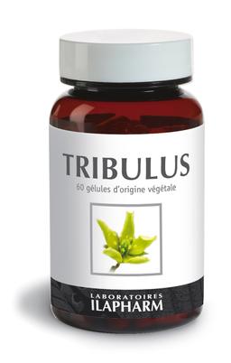 Tribulus Terrestris - Capacité sexuelle -  60 gélules