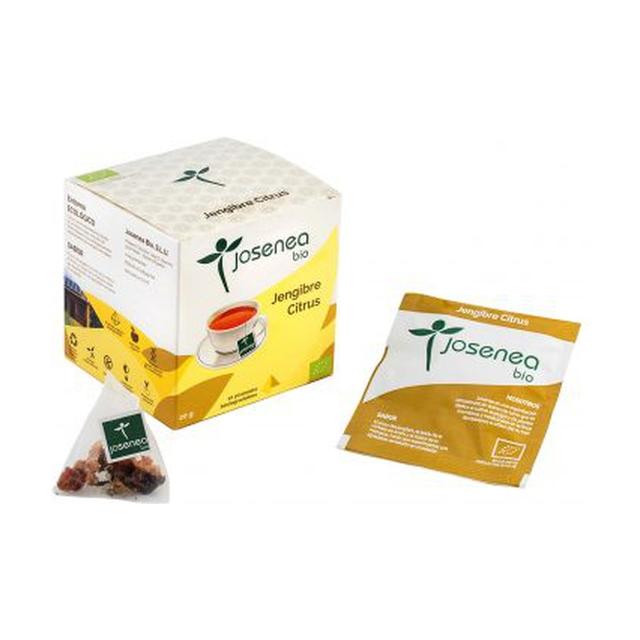 Gingembre Citrus Bio 10 sachets infuseurs