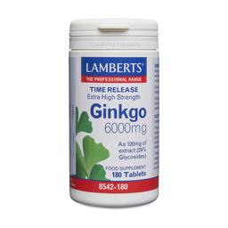 Ginkgo Biloba 180 tablettes de 6000mg