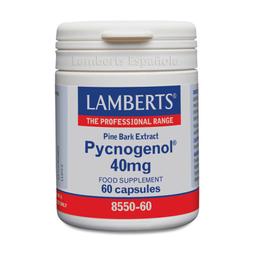 Pycnogenol 60 capsules de 40mg