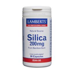 Silicium 90 capsules de 200mg