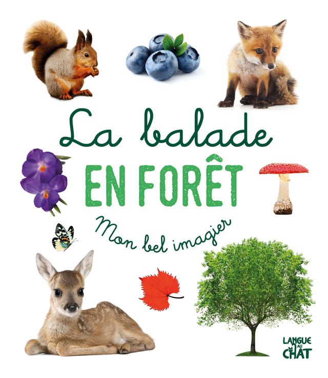 Livre  La balade en forêt - Mon bel imagier - Collectif