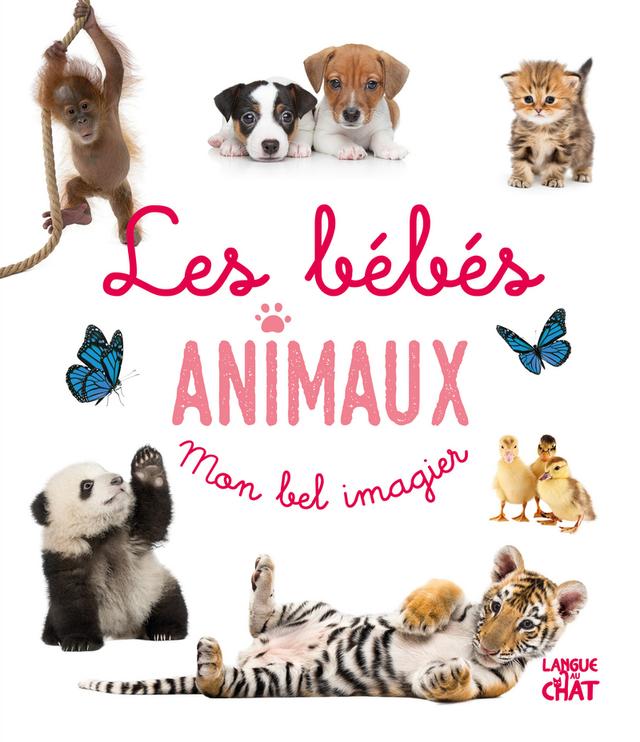 Livre - Mon bel imagier - Les bébés animaux