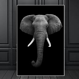 Affiche Eléphant Animaux - 30x40cm - Poster Salon ou Chambre