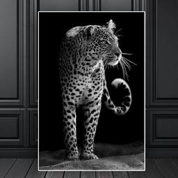 Affiche Jaguar Animaux - 30x40cm - Poster Salon ou Chambre