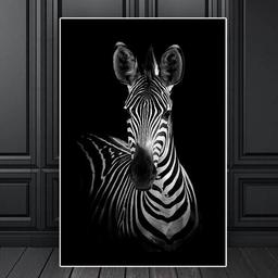 Affiche Zèbre Animaux - 30x40cm - Poster Salon ou Chambre