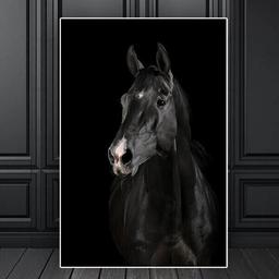 Affiche Cheval Animaux - 30x40cm - Poster Salon ou Chambre