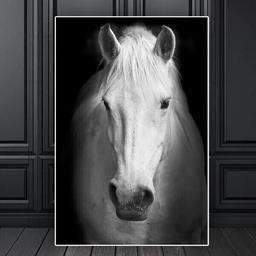 Affiche Cheval Animaux - 30x40cm - Poster Salon ou Chambre