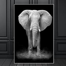 Affiche Eléphant Animaux - 30x40cm - Poster Salon ou Chambre