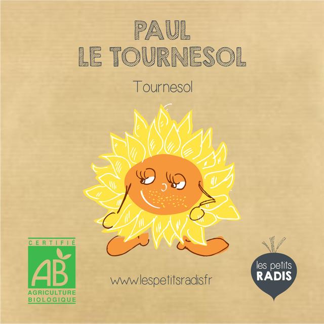 Mini kit de graines BIO de Paul le tournesol