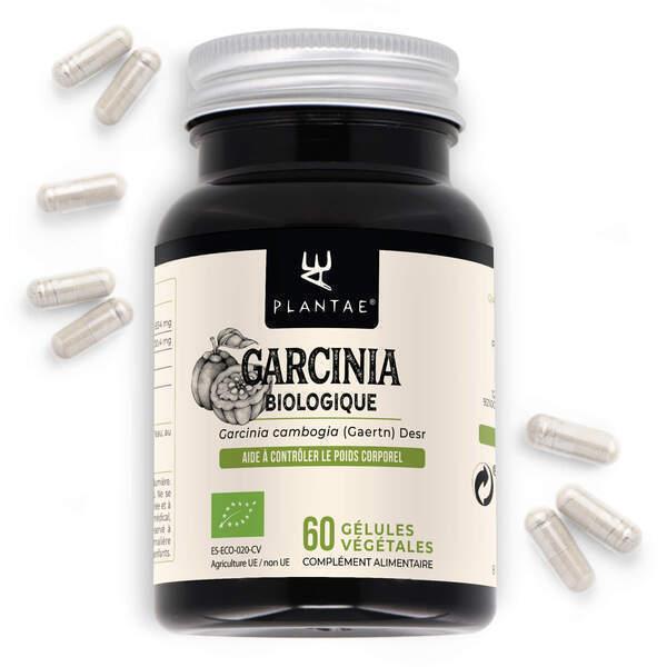 Garcinia Cambogia Bio * 417 mg / 60 gélules * titré à 60% HCA