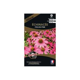 Graines de fleurs premium échinacée Feeling pink annuelle